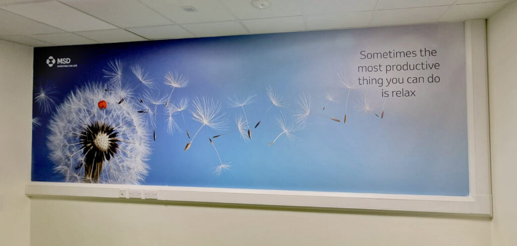 MSD branded wall